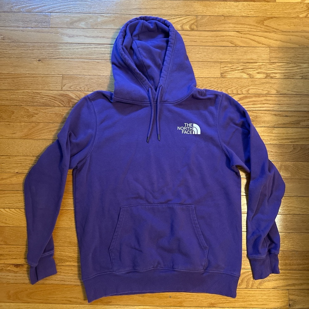 The North Face Men's Hoodie in Rich Purple